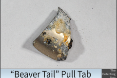 Pull Tab Beaver