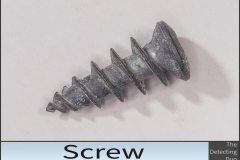 Screw Apr 6