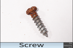 Screw Apr15 2