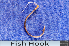 Fish Hook
