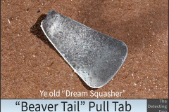 Beaver-Tail