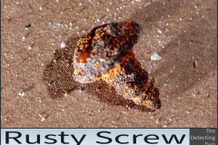 Rusty Screw.jpg