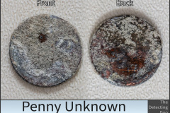 Penny Unknown.jpg