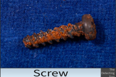 Screw 2.jpg