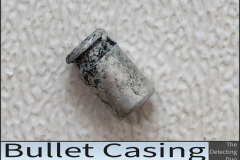 Bullet Casing.jpg