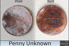Penny Unknown 2.jpg