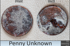Penny Unknown.jpg