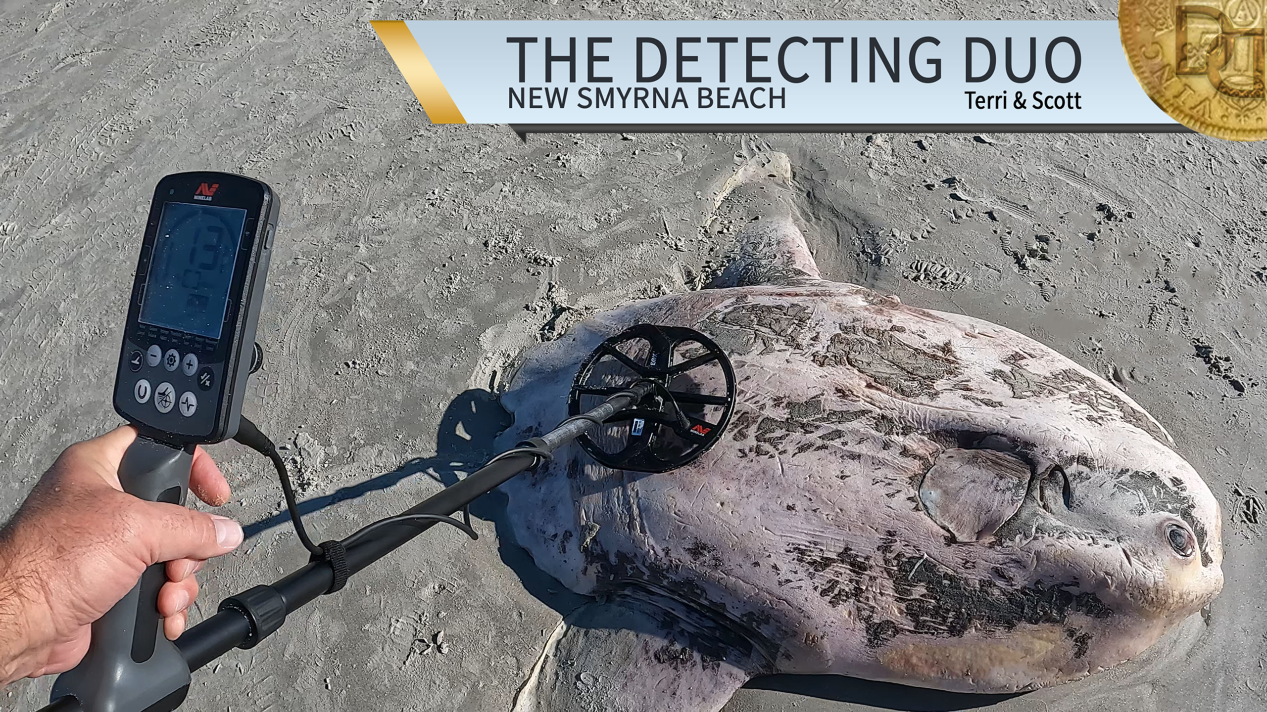 S02 E03 A Giant SunFish! Metal Detecting New Smyrna Beach